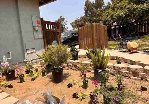 Professional Landscaping Services 31st St, San Diego, CA