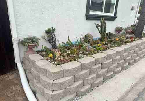 Landscaping Service David St, San Diego, CA