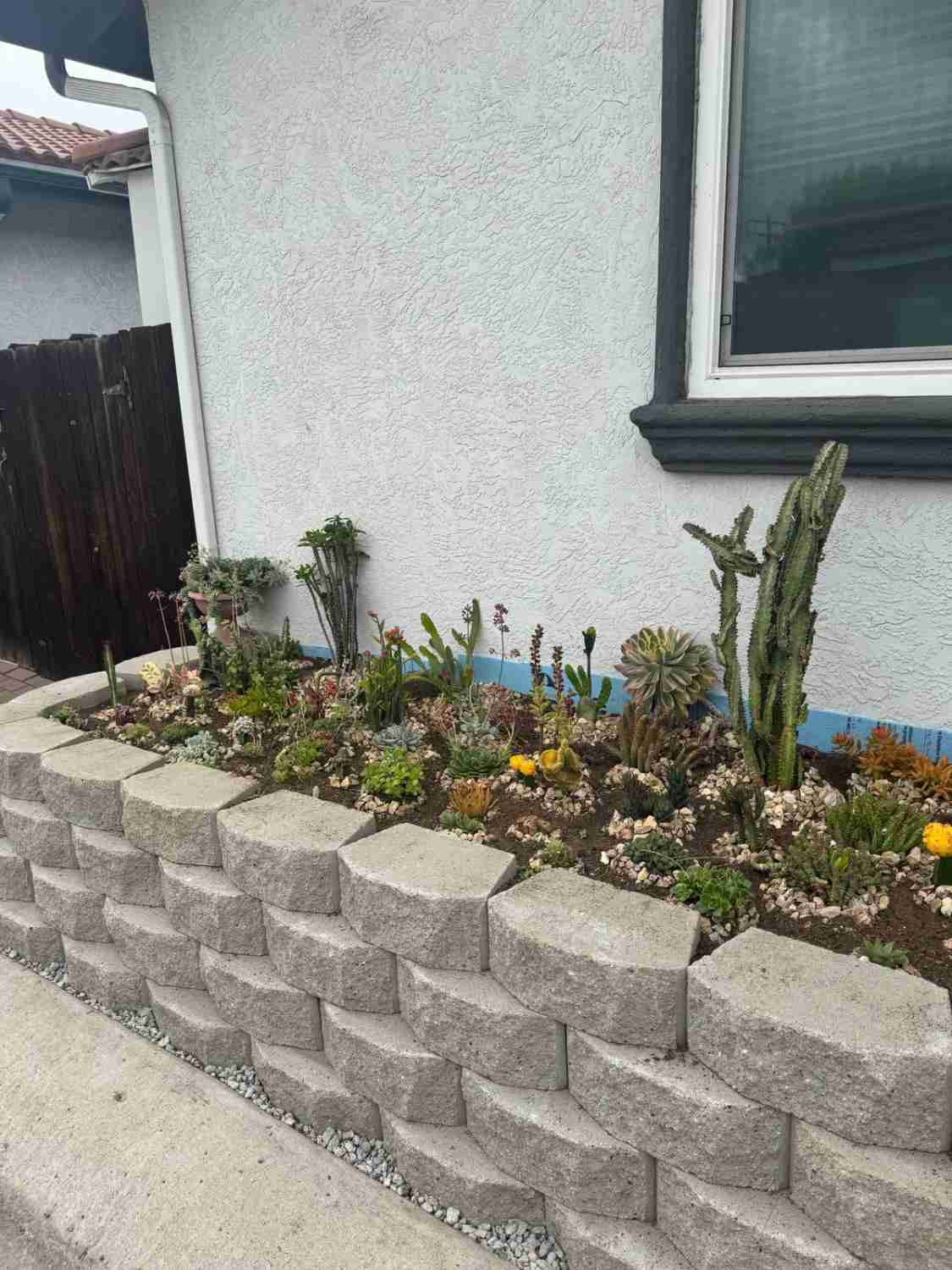 outdoor living contractor San Diego exterior home renovation general contractor home renovation contractors San Diego landscaping services near me Landscaping Service David St, San Diego, CA