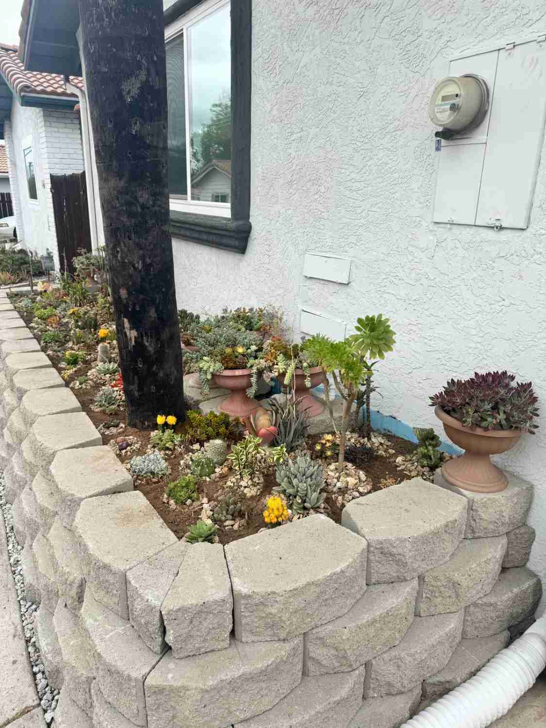 exterior home renovation general contractor home renovation contractors San Diego landscaping services near me outdoor living contractor San Diego Landscaping Service David St, San Diego, CA