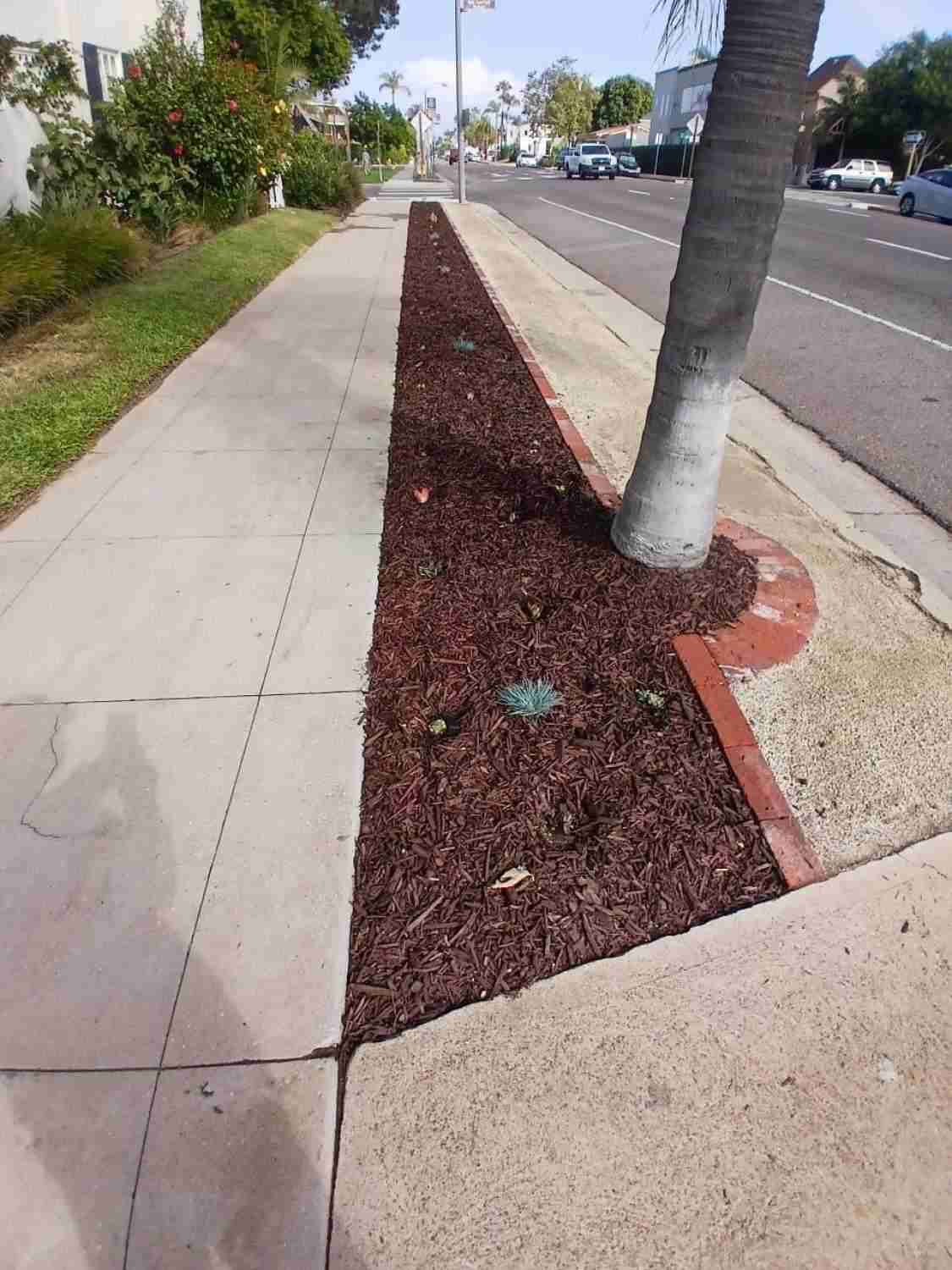 outdoor living contractor San Diego outdoor remodeling concrete contractor San Diego exterior home renovation general contractor landscaping services near me Concrete Construction C St, San Diego, CA