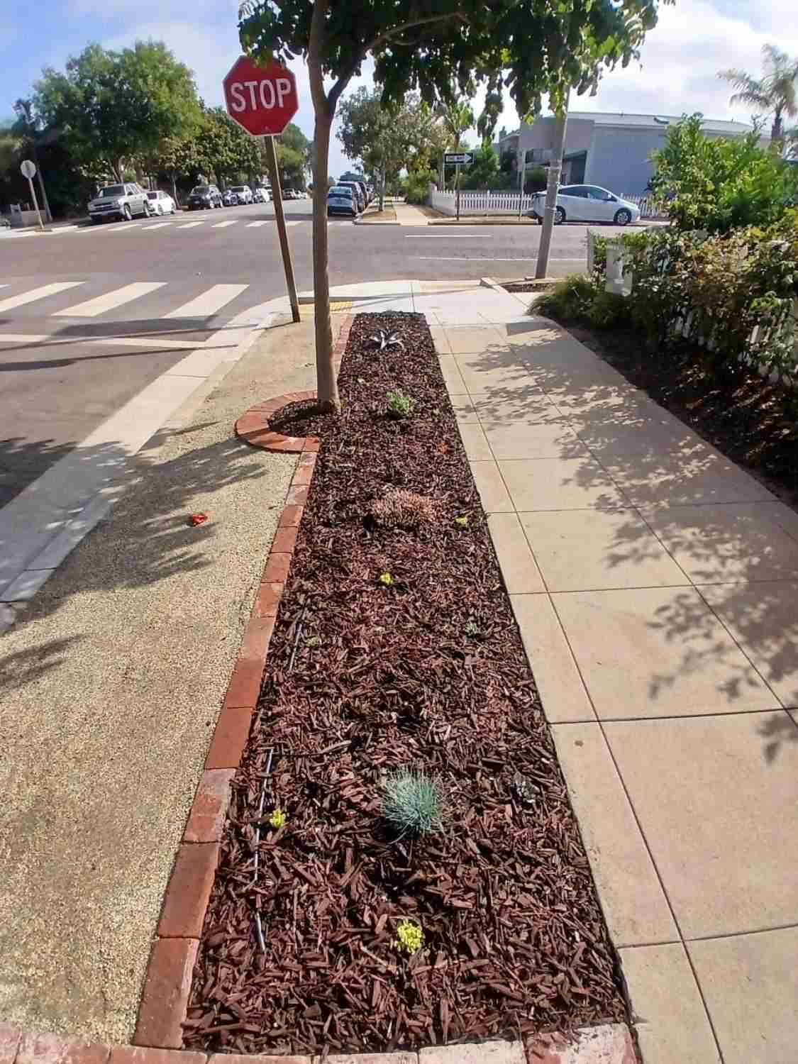 landscaping services near me outdoor living contractor San Diego outdoor remodeling concrete contractor San Diego exterior home renovation general contractor Concrete Construction C St, San Diego, CA