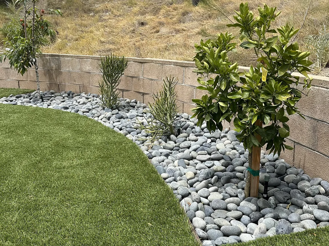 Project Feature