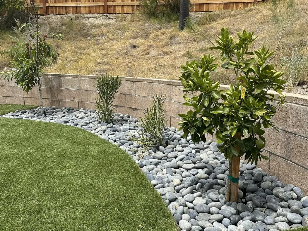 Project View 4