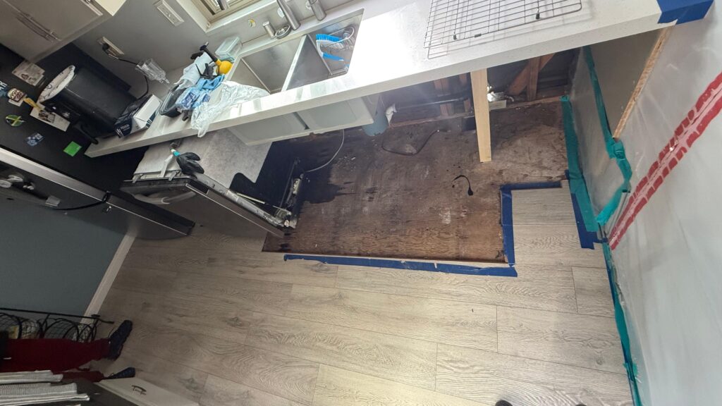 Project View 5